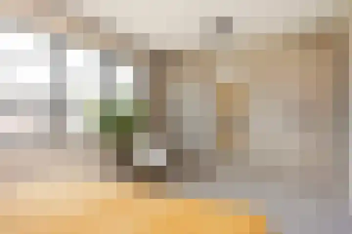M. de Witstraat 21 Hengelo thumbnail 27