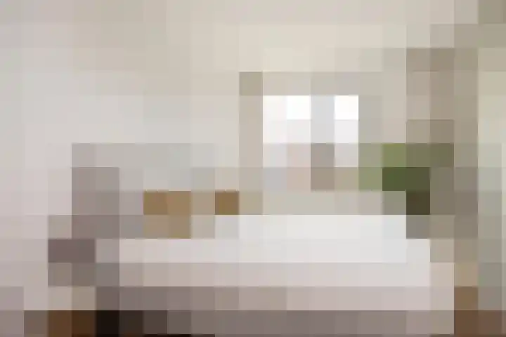 M. de Witstraat 21 Hengelo thumbnail 28
