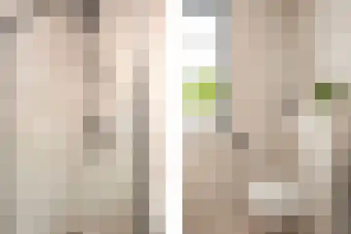 M. de Witstraat 21 Hengelo thumbnail 31
