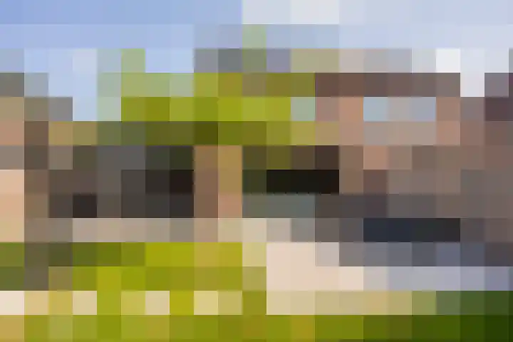 M. de Witstraat 21 Hengelo thumbnail 37