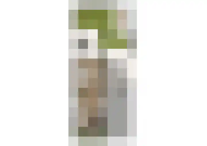 M. de Witstraat 21 Hengelo thumbnail 47