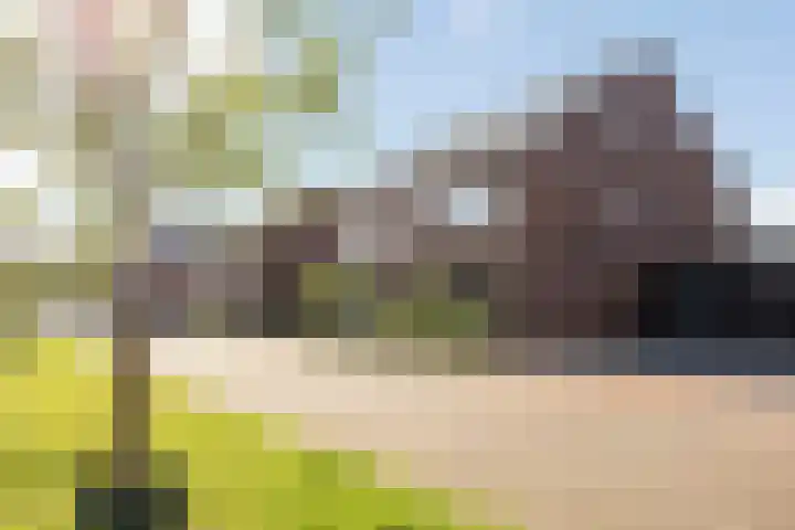 M. de Witstraat 21 Hengelo thumbnail 5