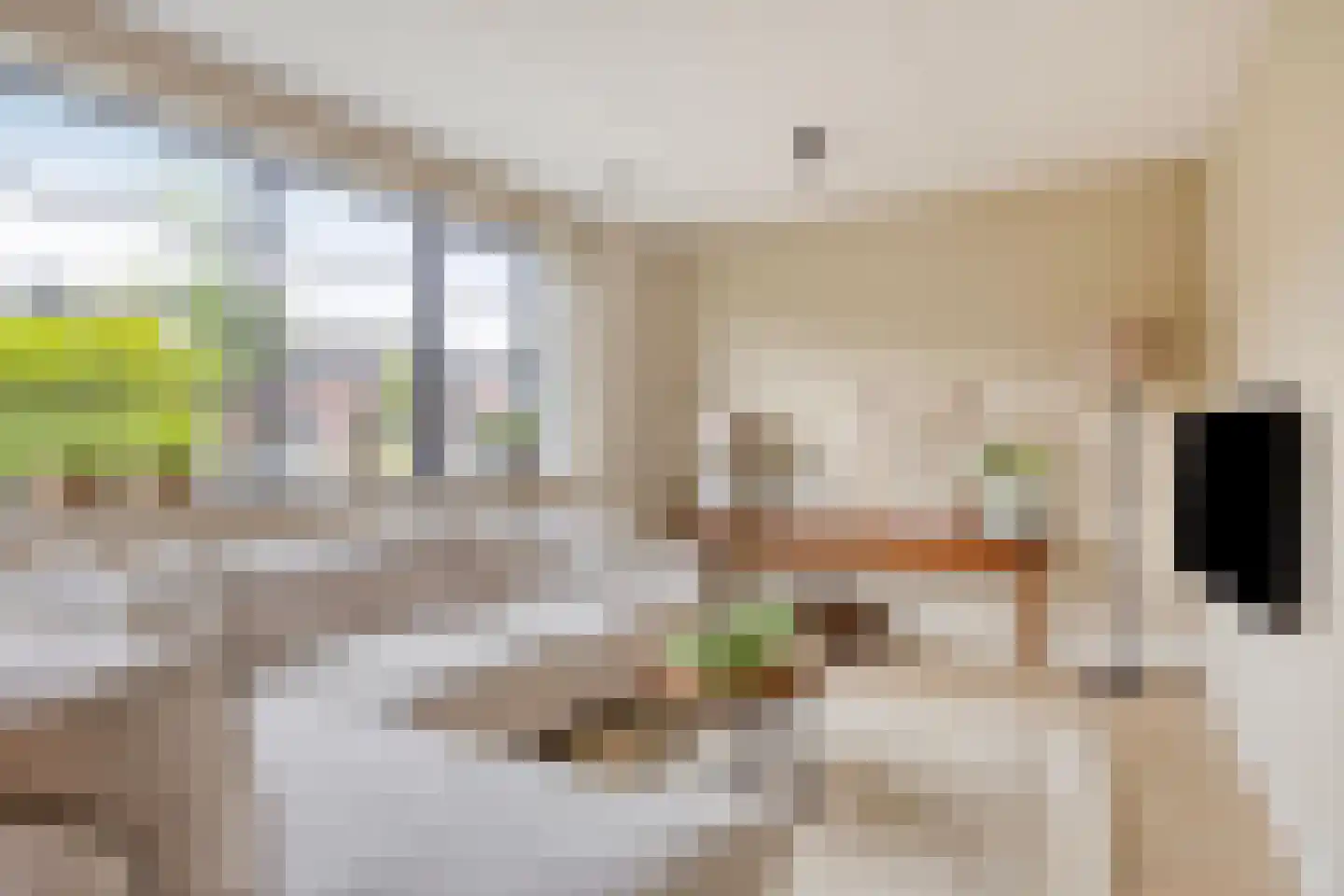 M. de Witstraat 23 Hengelo thumbnail 13