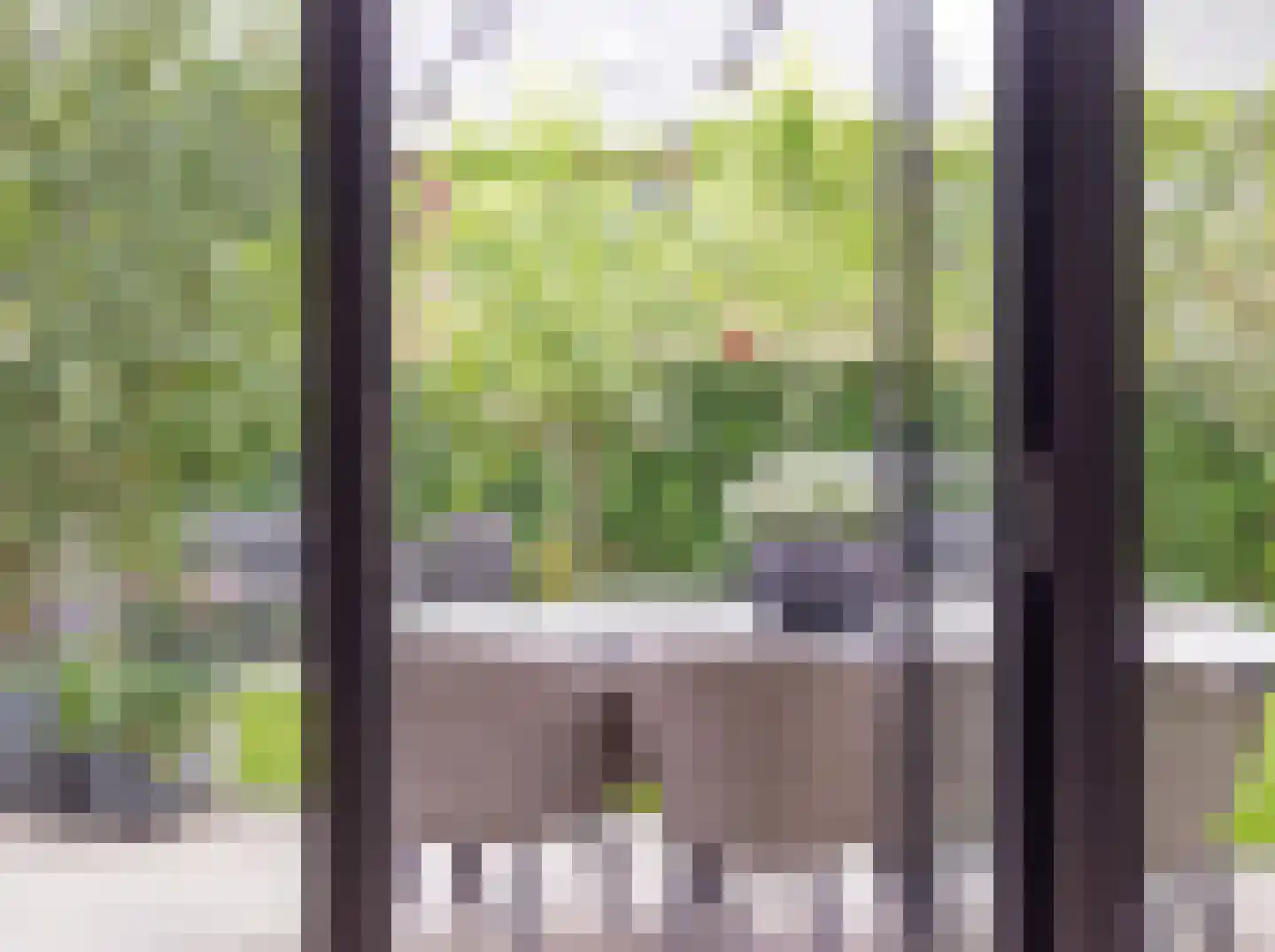 M. de Witstraat 23 Hengelo thumbnail 27