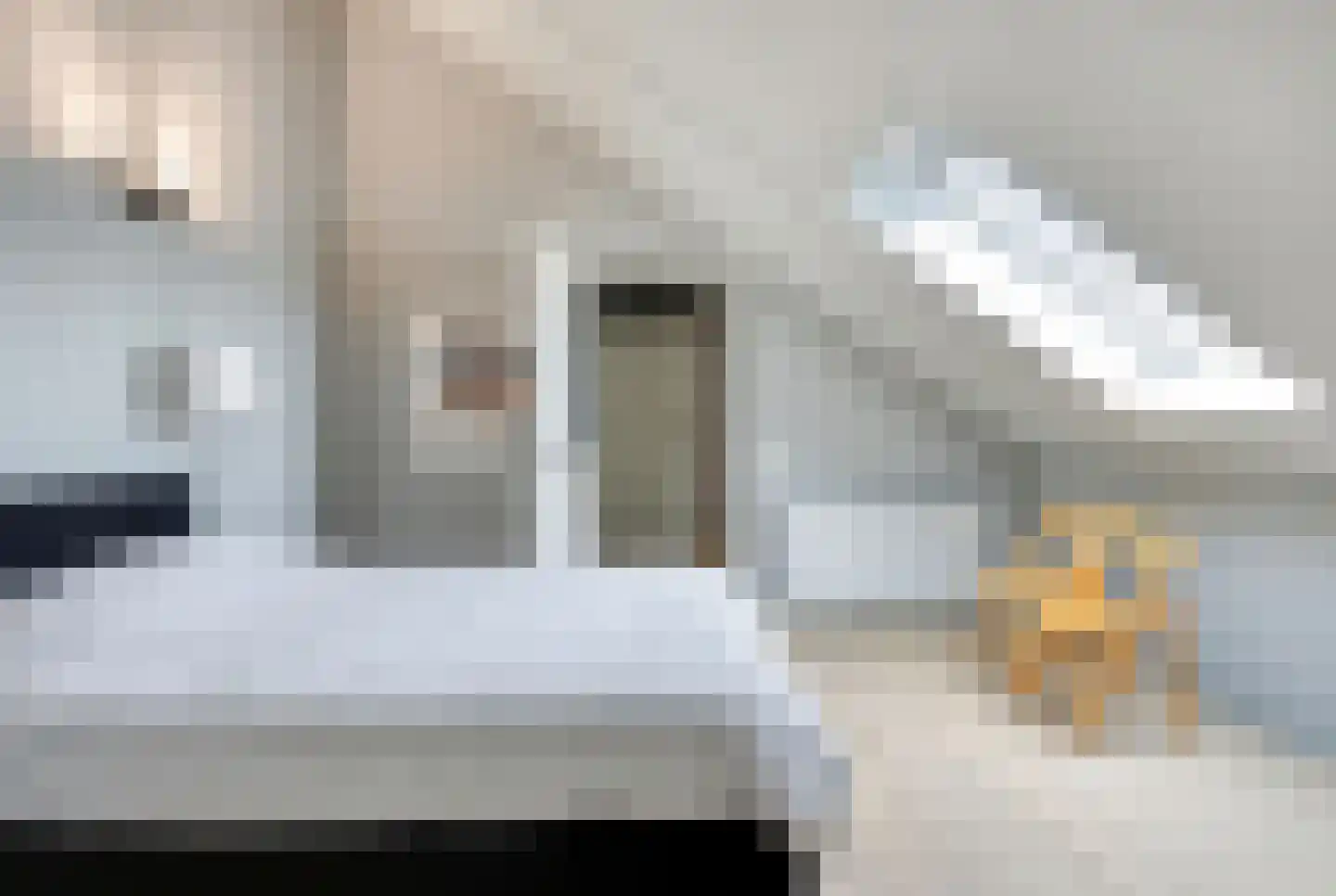 M. de Witstraat 23 Hengelo thumbnail 39