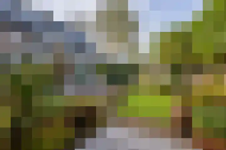 M.Dotingalaan 3 Weesp thumbnail 38