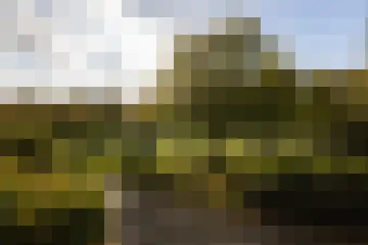 M.Dotingalaan 3 Weesp thumbnail 40