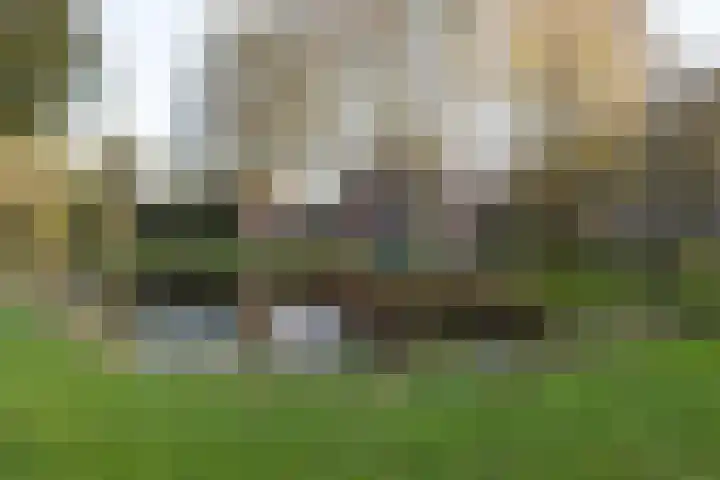 M.Dotingalaan 3 Weesp thumbnail 41