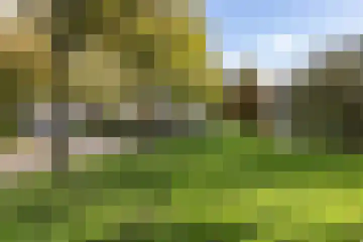 M.Dotingalaan 3 Weesp thumbnail 42