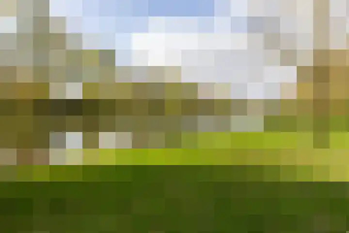 M.Dotingalaan 3 Weesp thumbnail 43