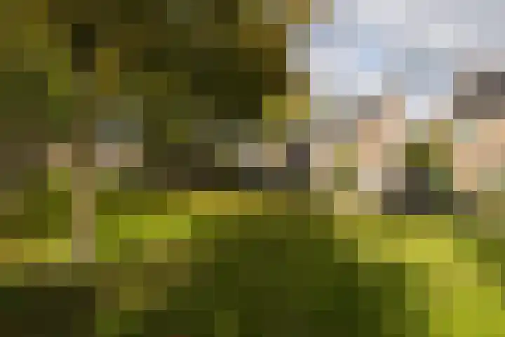 M.Dotingalaan 3 Weesp thumbnail 5
