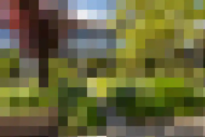 M.Dotingalaan 36 Weesp thumbnail 24