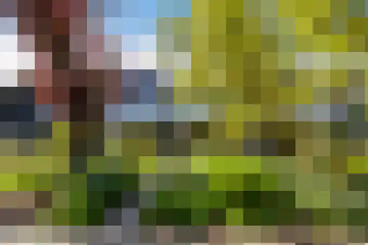 M.Dotingalaan 36 Weesp thumbnail 25