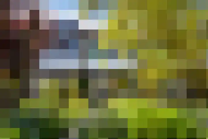 M.Dotingalaan 36 Weesp thumbnail 26