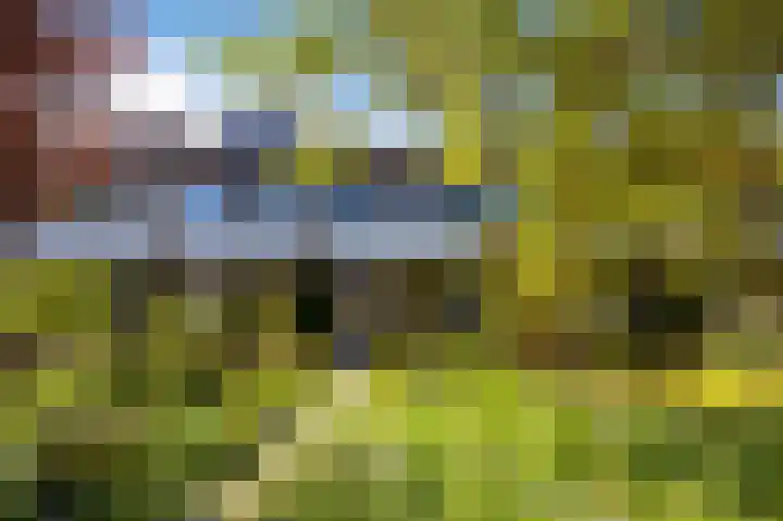 M.Dotingalaan 36 Weesp thumbnail 33