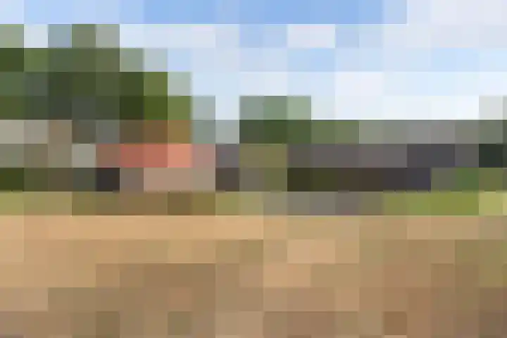 M.E. van der Meulenweg 1 Frederiksoord thumbnail 37