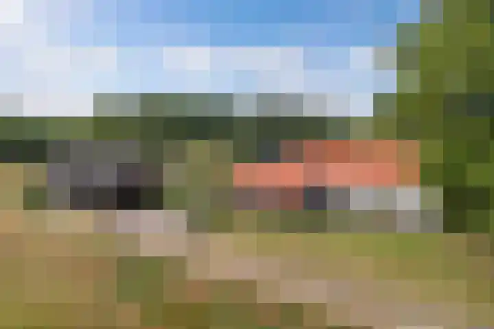M.E. van der Meulenweg 1 Frederiksoord thumbnail 4