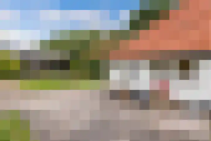 M.E. van der Meulenweg 1 Frederiksoord thumbnail 40