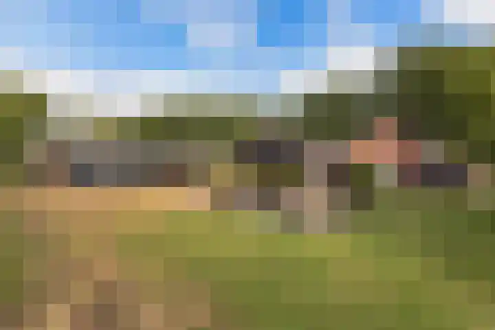 M.E. van der Meulenweg 1 Frederiksoord thumbnail 45
