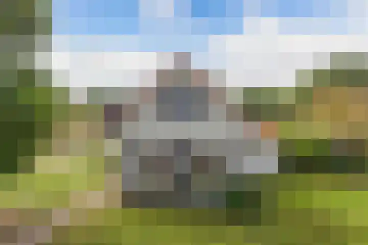 M.E. van der Meulenweg 1 Frederiksoord thumbnail 55