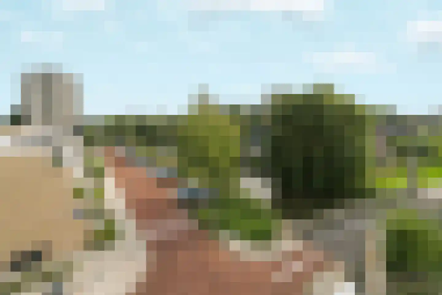 M. Gandhilaan 134 Amsterdam thumbnail 18