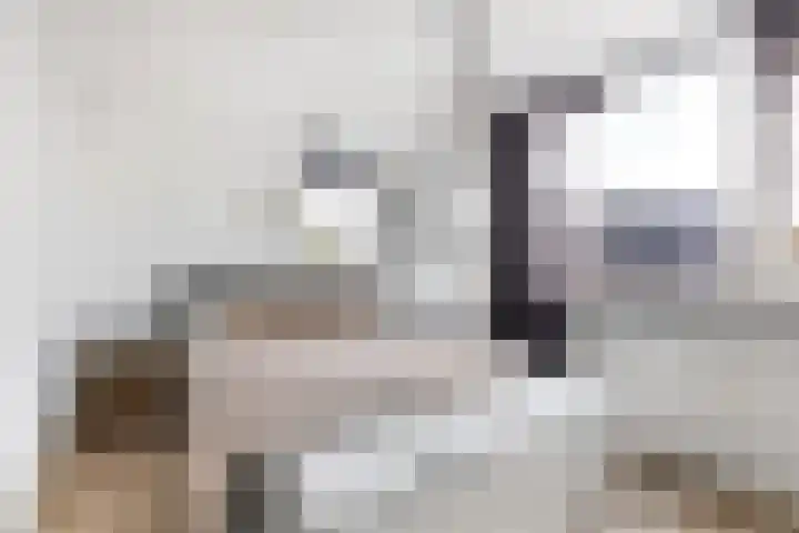 M. Gandhilaan 30 Amsterdam thumbnail 18