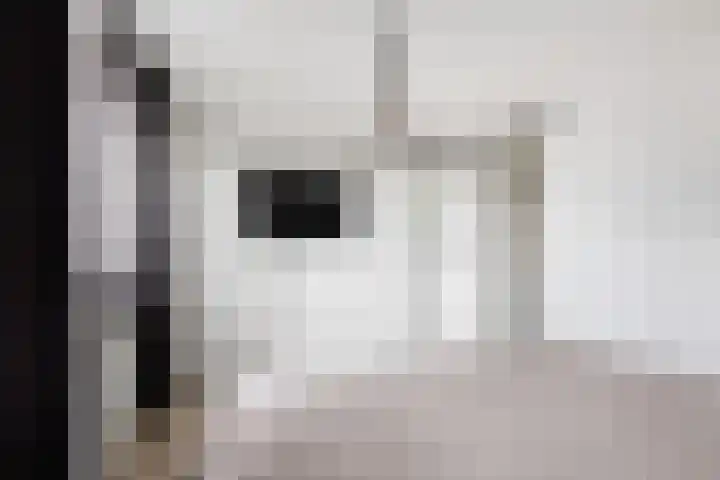 M. Gandhilaan 30 Amsterdam thumbnail 19
