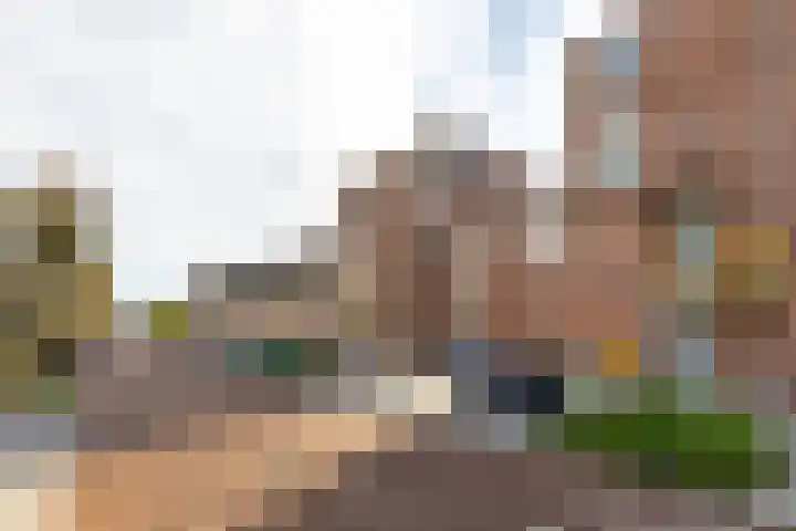 M. Gandhilaan 30 Amsterdam thumbnail 29