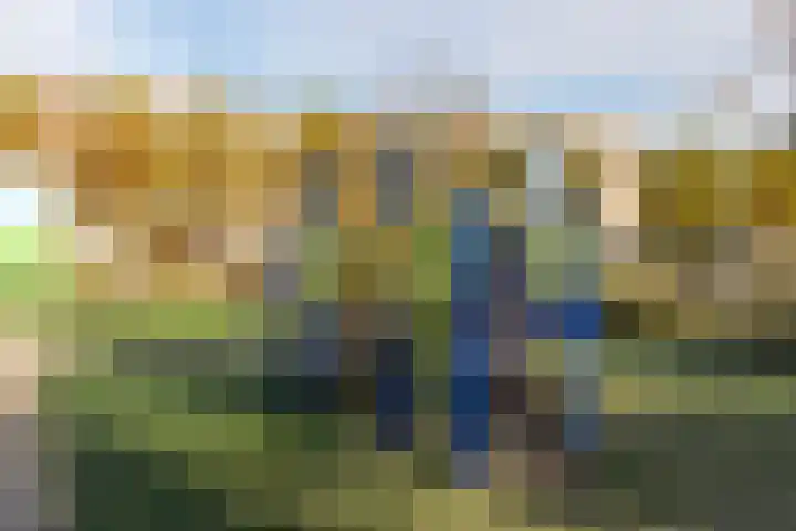 M. Gandhilaan 30 Amsterdam thumbnail 31