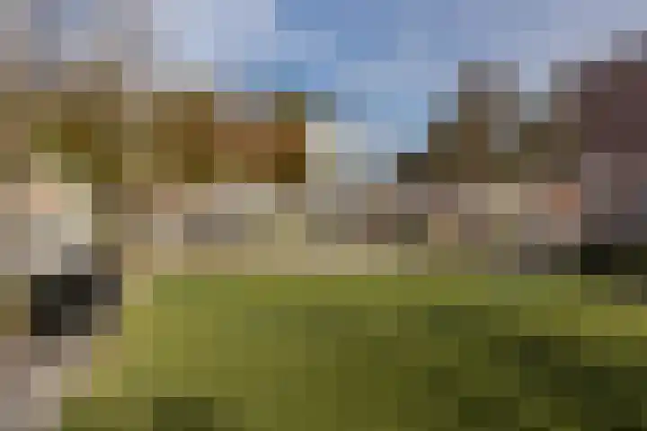 M. Gandhilaan 30 Amsterdam thumbnail 32