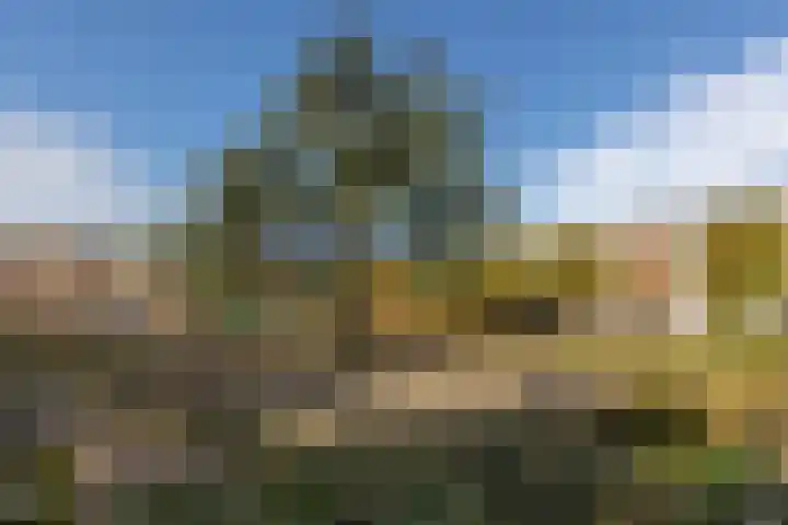 M. Gandhilaan 30 Amsterdam thumbnail 33