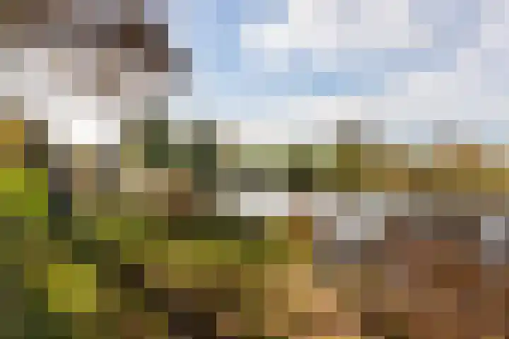M. Gandhilaan 30 Amsterdam thumbnail 34