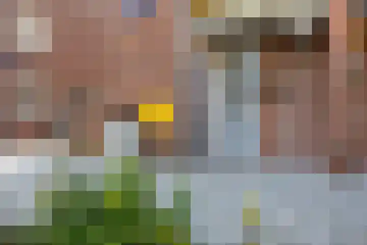 M. Gandhilaan 30 Amsterdam thumbnail 5