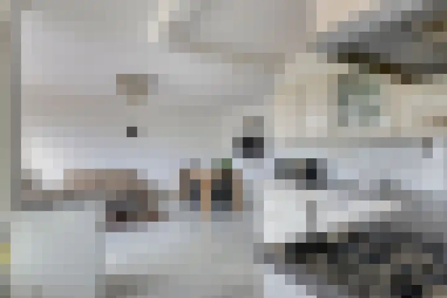 M. Gandhilaan 59 Amsterdam thumbnail 12