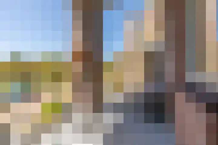 M. Gandhilaan 61 Amsterdam thumbnail 12