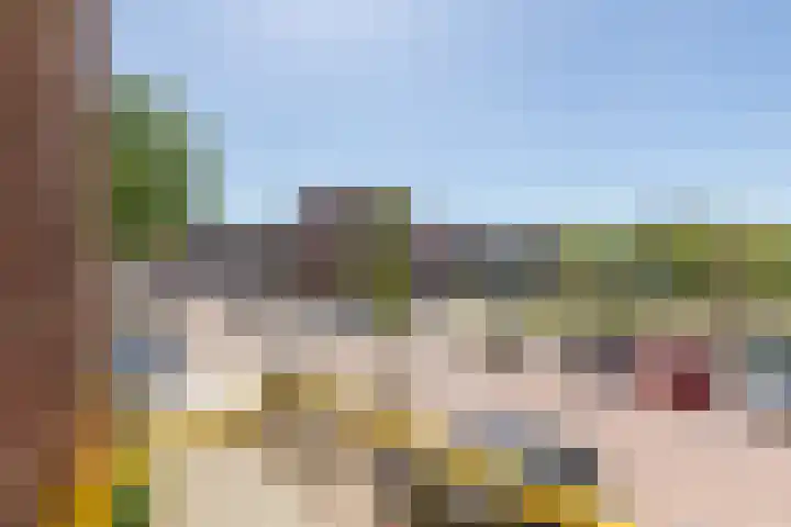 M. Gandhilaan 61 Amsterdam thumbnail 17