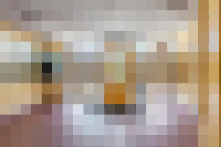 M. Gandhilaan 61 Amsterdam thumbnail 40