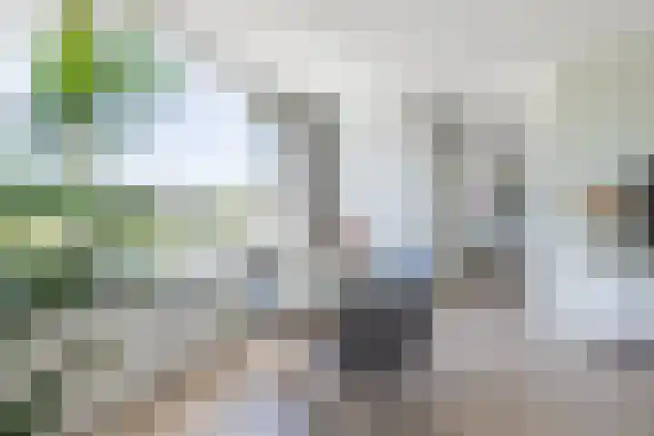 M. Gandhilaan 61 Amsterdam thumbnail 5