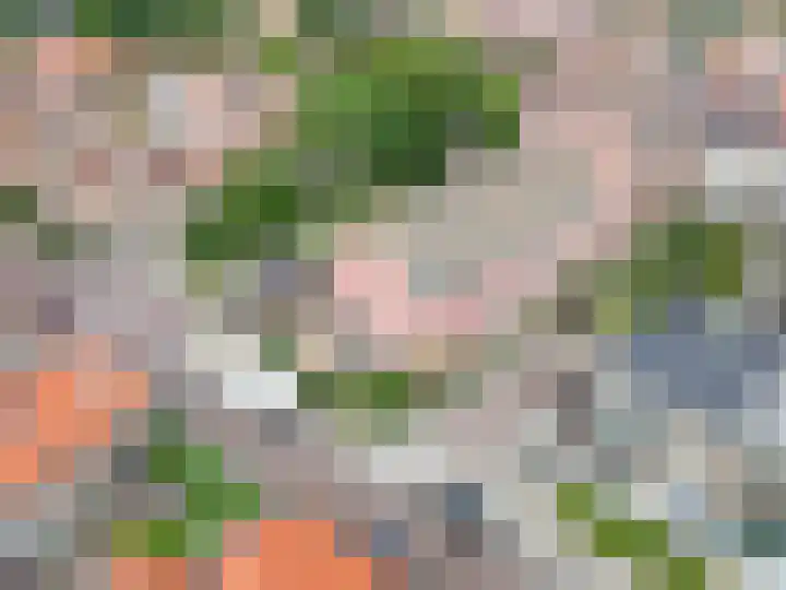 M.H. Tromphof 20 Katwijk thumbnail 45