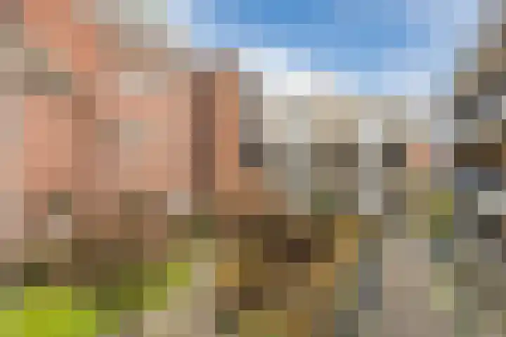M.H. Tromphof 28 Katwijk thumbnail 6