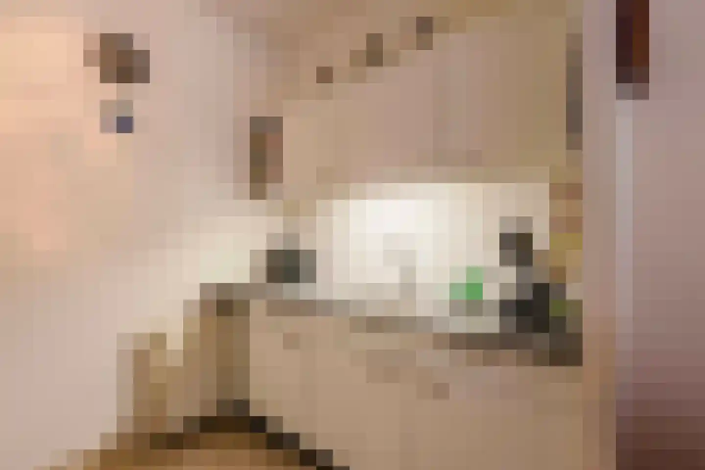 M.H. Tromphof 6 Katwijk thumbnail 9