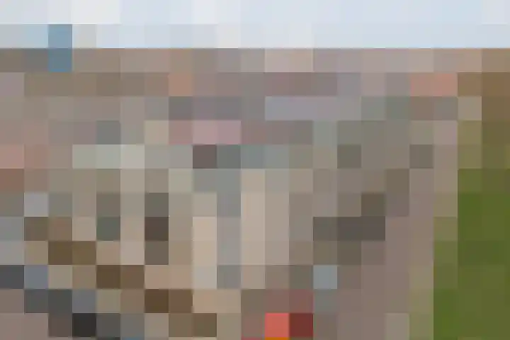 M.H. Tromphof 62 Katwijk thumbnail 38