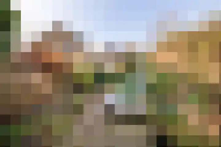 M H Tromplaan 11 Bennebroek thumbnail 27