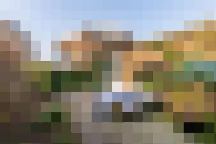 M H Tromplaan 11 Bennebroek thumbnail 28