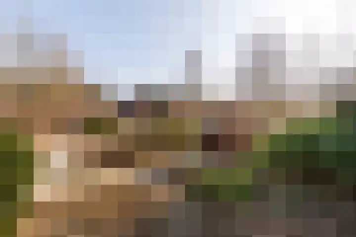 M H Tromplaan 11 Bennebroek thumbnail 32