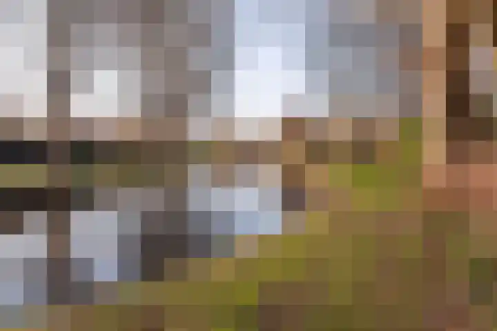M H Tromplaan 11 Bennebroek thumbnail 34