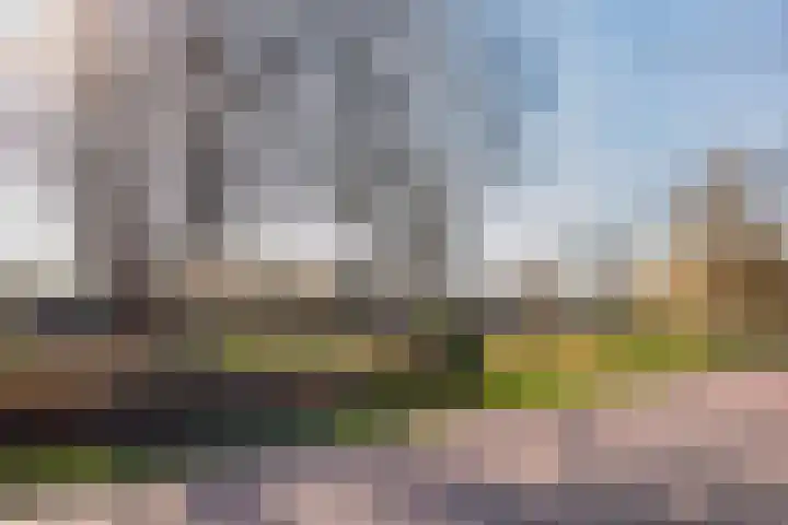 M H Tromplaan 11 Bennebroek thumbnail 35