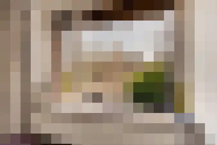 M H Tromplaan 11 Bennebroek thumbnail 6
