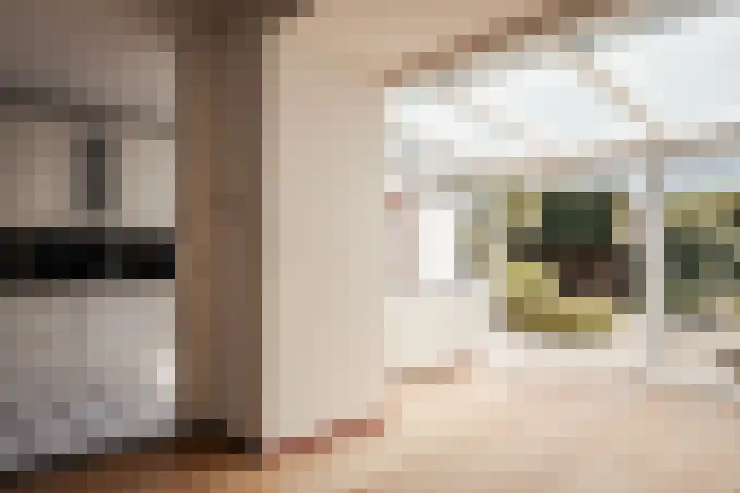 M H Tromplaan 2 Bennebroek thumbnail 11