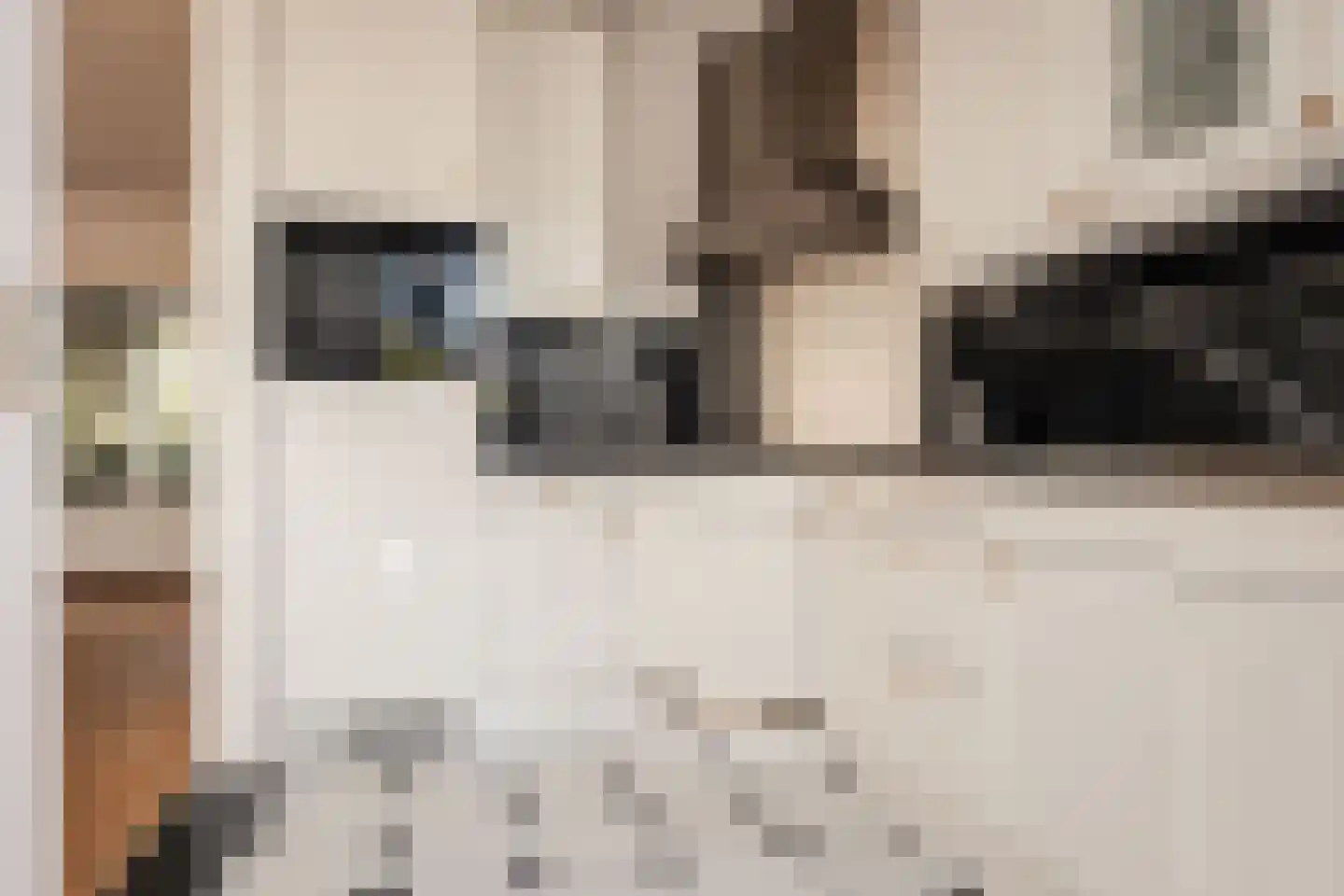 M H Tromplaan 2 Bennebroek thumbnail 13